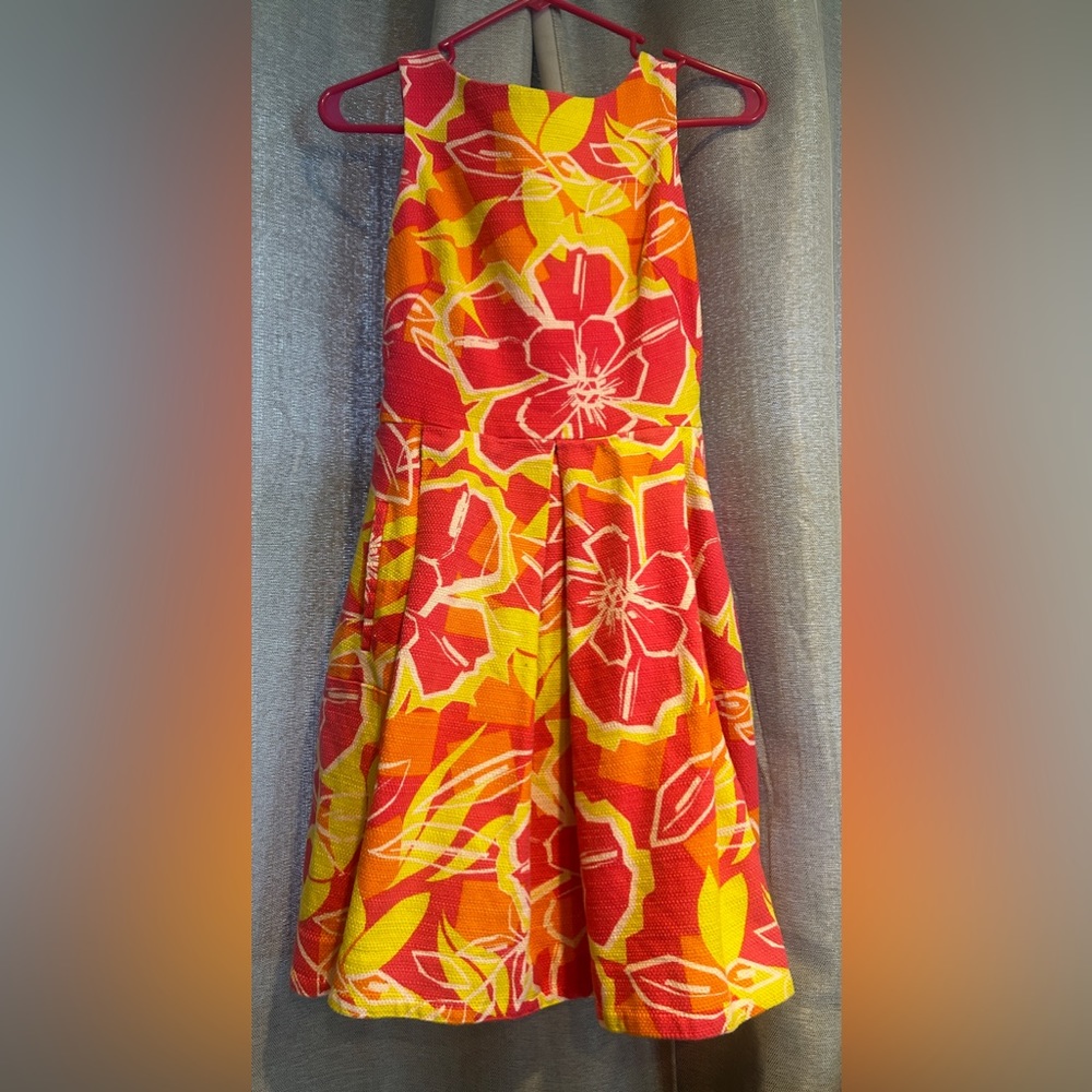 Adorable Womans Size 2 Dress